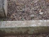 image of grave number 795074